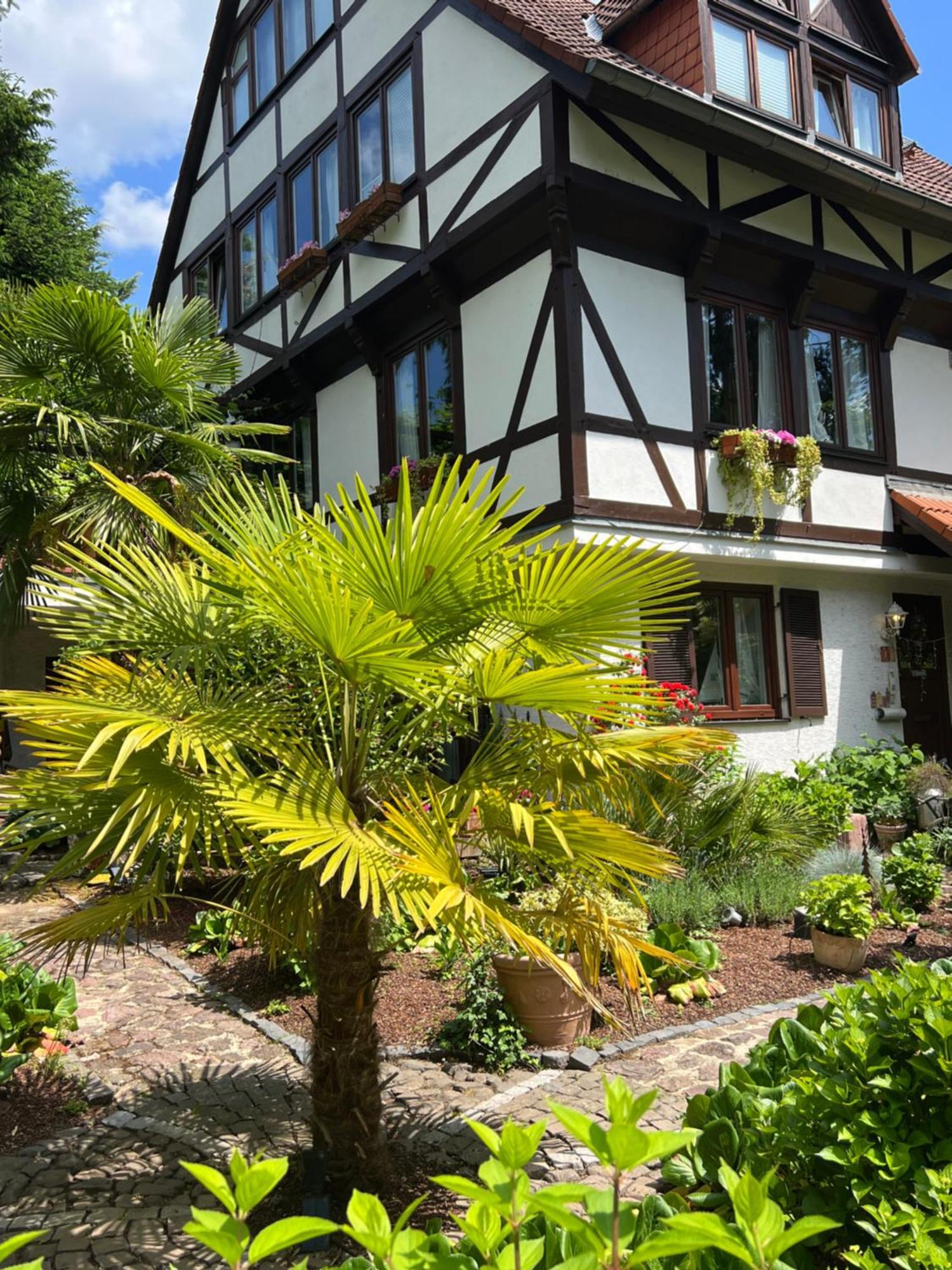 Einliegerwohnung In Einer Muehle Vor Den Toren Frankfurts, Ideal Fuer Messegaeste Oder Stop Over ดรายค์ ภายนอก รูปภาพ
